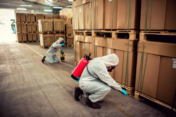 Best Local Pest Control Services  in Waldwick, NJ