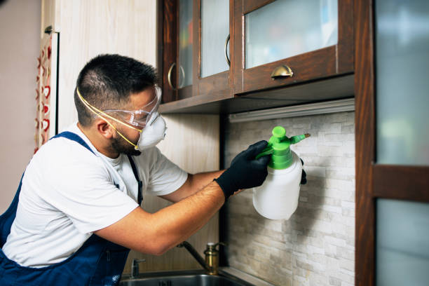 Best Rat Extermination Near Me  in Waldwick, NJ