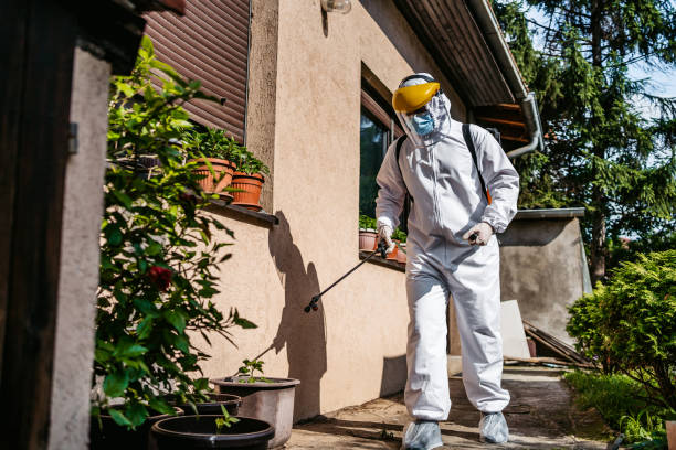 Best Bed Bug Extermination  in Waldwick, NJ