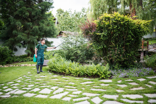 Best Rat Extermination Near Me  in Waldwick, NJ