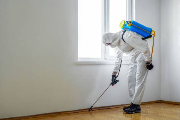Best Flea Control Services  in Waldwick, NJ