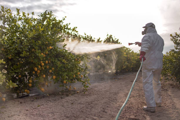 Pest Control Cost in Waldwick, NJ
