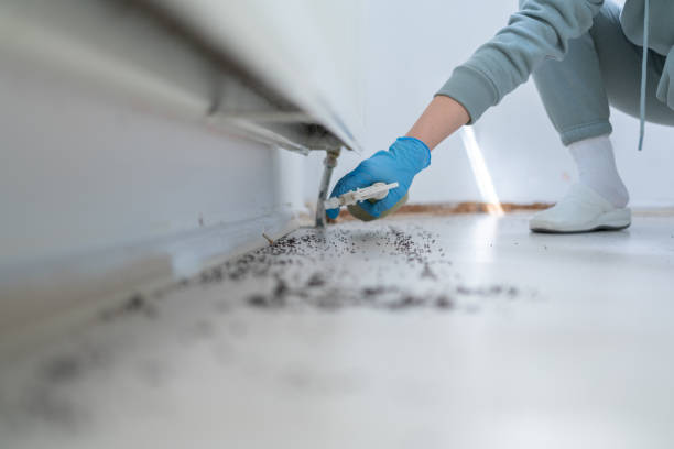 Best Best Pest Control Near Me  in Waldwick, NJ