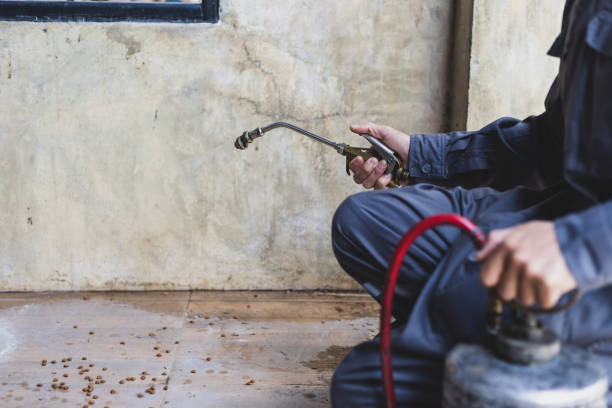 Wasp Removal Services in Waldwick, NJ