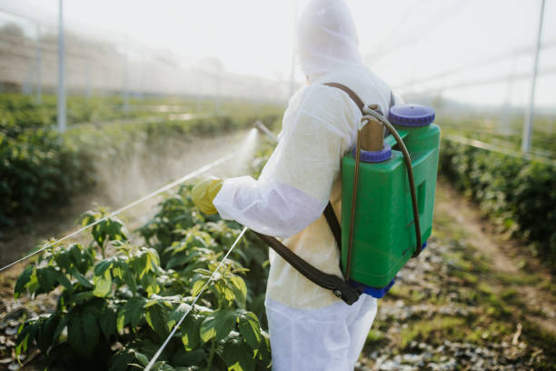 Best Affordable Pest Control Services  in Waldwick, NJ